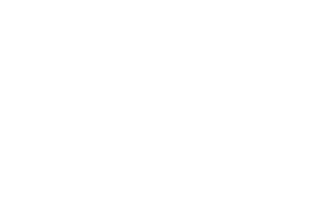 OFFICIAL SELECTION INTERNATIONAL ART FILM FESTIVAL 2021