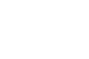 OFFICIAL SELECTION WA Made Film Festival 2022